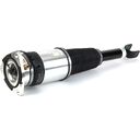 New Rear Left Air Strut - 02-10 Audi A8 (D3) w/Normal Suspension