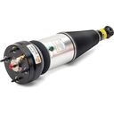 New Rear Air Strut - 04-10 Jaguar XJ Series (X350, X358) - Left or Right