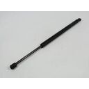 TAILGATE SUPPORT STRUT